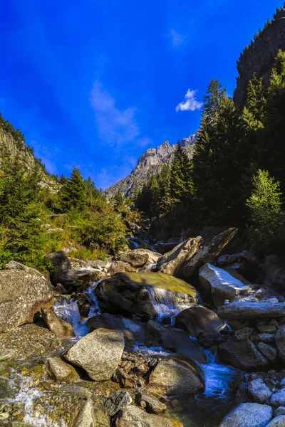 Vodopád ve Skalistých horách ve Švýcarsku — Stock fotografie