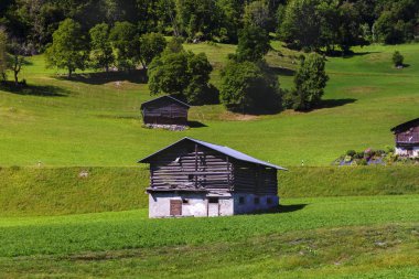 Pastoral yaz manzara ile taze yeşil dağ Alpleri'nde