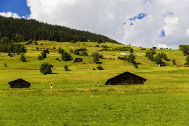Pastoral yaz manzara ile taze yeşil dağ Alpleri'nde