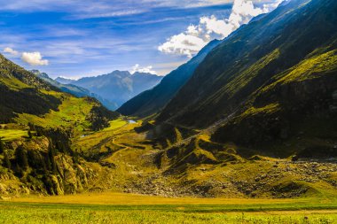 Pastoral yaz manzara ile taze yeşil dağ Alpleri'nde