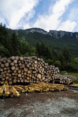 ahşap bir forest yakınındaki yığını