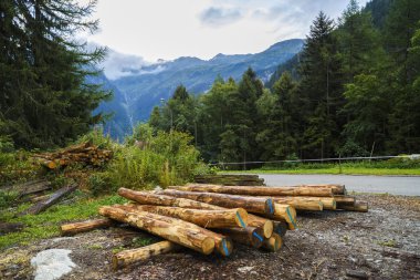 ahşap bir forest yakınındaki yığını
