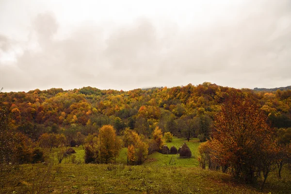 Hermoso paisaje con árboles en colores otoñales — Foto de Stock