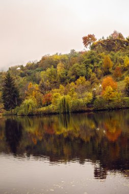 yansımaları bir göl kenarında sonbahar renkleri ile manzara