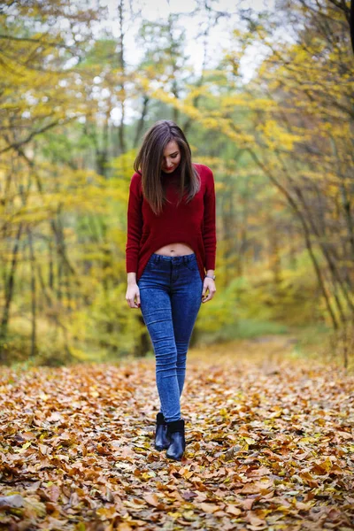 Mulher bonita no parque de outono — Fotografia de Stock