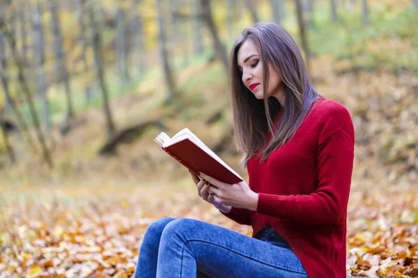 Retrato de bela jovem morena lendo um livro no — Fotografia de Stock