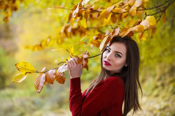 Mooie vrouw in het herfstpark — Stockfoto