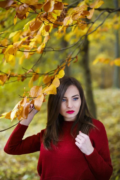 Hermosa mujer en el parque de otoño — Foto de Stock