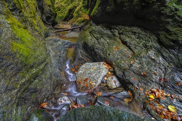 Stan geçit Romanya'da valea lui den manzara — Stok fotoğraf