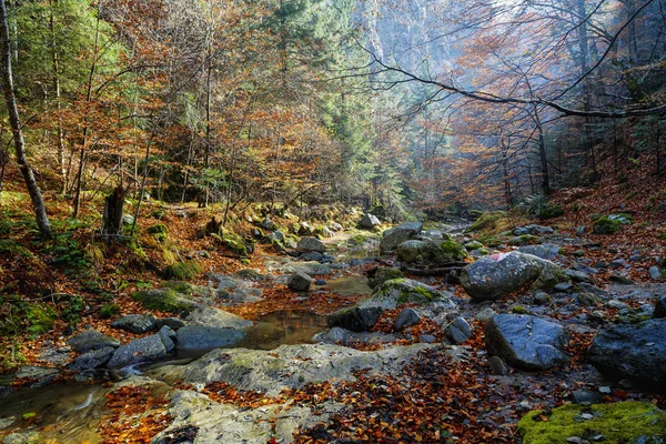 Paisaje desde la garganta de Valea lui Stan en Rumania — Foto de Stock