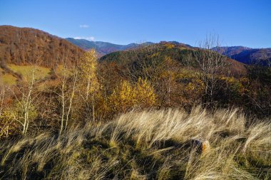 Avrupa'nın dağların güzel manzara