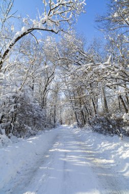 Romanya'da bir yol ile kış manzarası