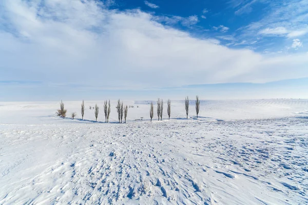 Paisaje de invierno con árboles y un campo en algún lugar de Rumania — Foto de Stock