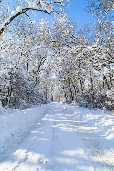 Romanya'da bir yol ile kış manzarası — Stok fotoğraf