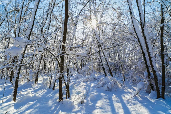 Winter landscape with a road in Romania — Stock Photo, Image