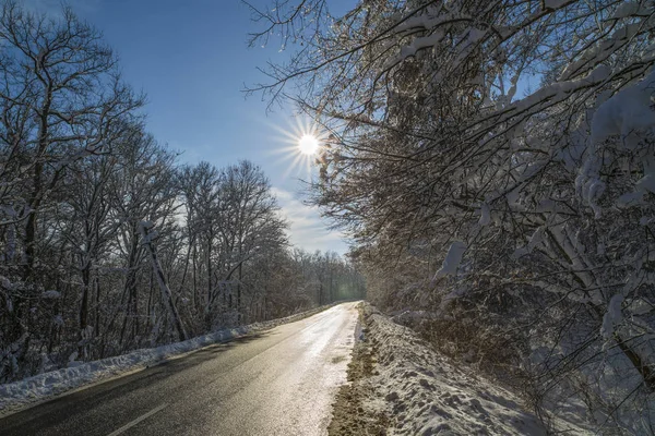 Romanya'da bir yol ile kış manzarası — Stok fotoğraf