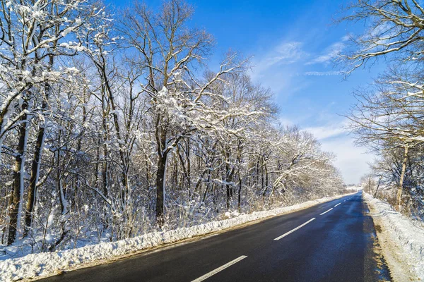 Romanya'da bir yol ile kış manzarası — Stok fotoğraf