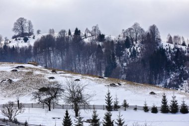 Kış manzarası ile Romanya'da bir dağ köyü