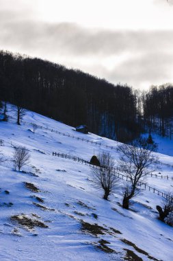 Kış manzarası ile Romanya'da bir dağ köyü