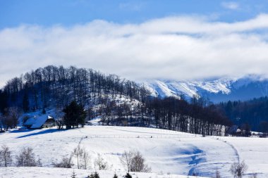 Kış manzarası ile Romanya'da bir dağ köyü