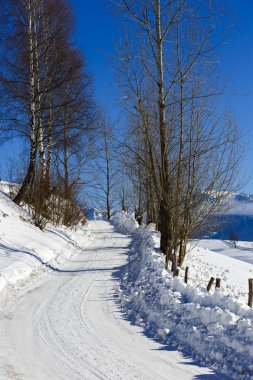 dağ yolundan Karpatlar kış peyzaj