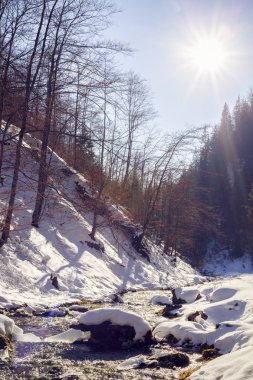 gorge bir dağ nehir ile güzel sahne
