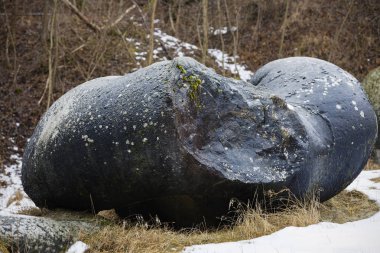 (Trovantii) nadir kaya oluşumları, Costesti, Valcea, Romanya