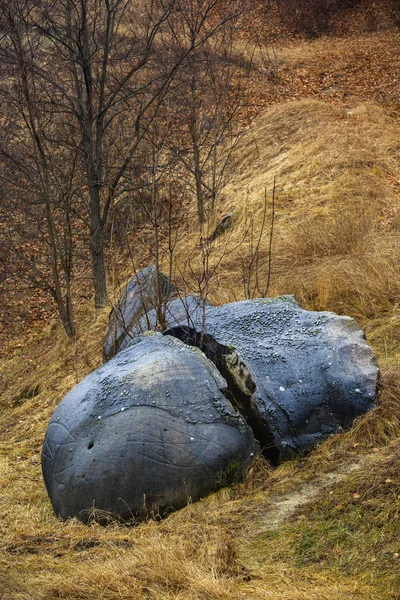 Vzácné skalní útvary (trovantii) z Costesti, Valcea, Rumunsko — Stock fotografie