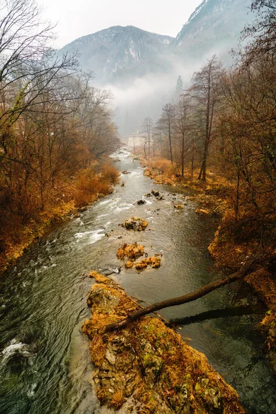 Hermoso paisaje con niebla en el río Cerna — Foto de Stock