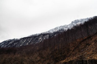dağ tepe Domogled Milli Parkı, Romanya ile manzara