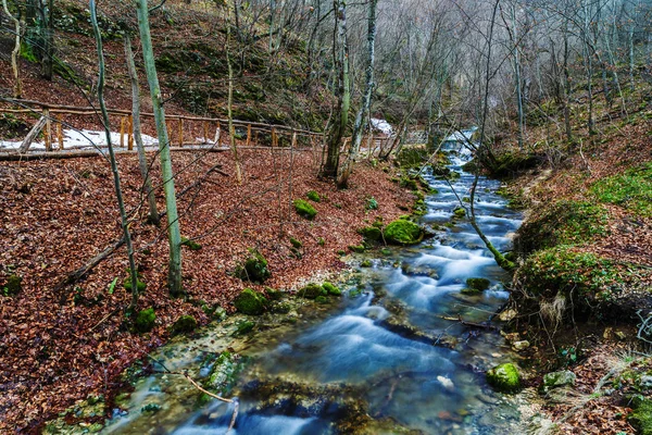 Parque Nacional de montaña río Nera Beusnita — Foto de Stock