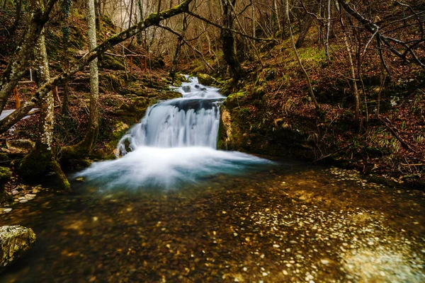 Milli Parkı dağ nehir Nera Beusnita — Stok fotoğraf