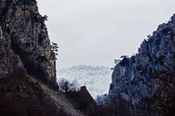 Paisaje con pico de montaña en el Parque Nacional Domogled, Rumania —  Fotos de Stock