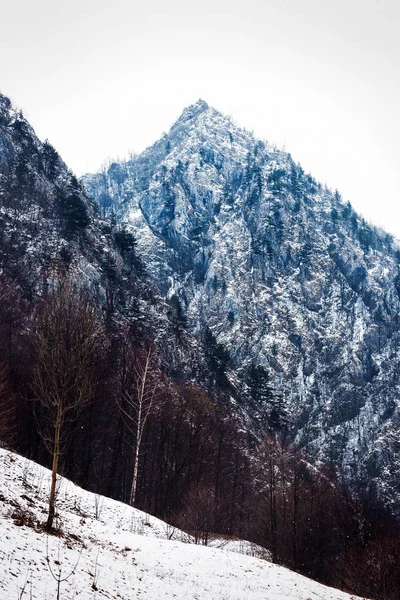 在罗马尼亚多莫格德国家公园与山峰的景观 — 图库照片