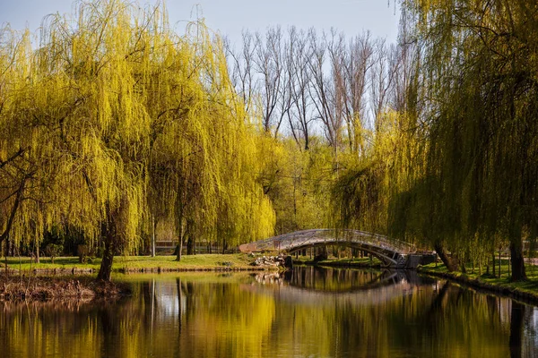 Ponte através do lago no parque da mola — Fotografia de Stock