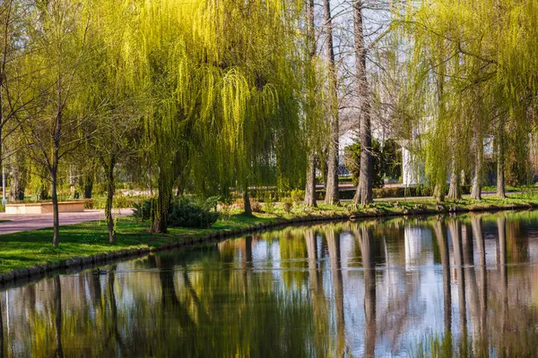 Visão geral da primavera no parque — Fotografia de Stock