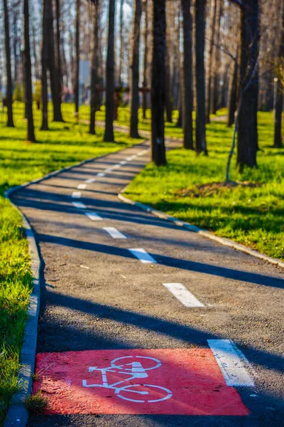 Beco bonito no parque em um dia de primavera — Fotografia de Stock