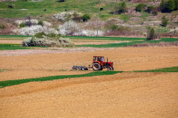 Traktor, pracující v oboru na jaře — Stock fotografie