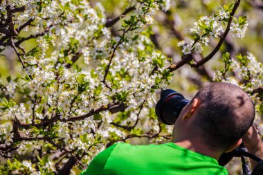 Erik bahçesinde profesyonel fotoğrafçı