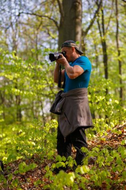 Orman bahar günü fotoğrafçılık turizm