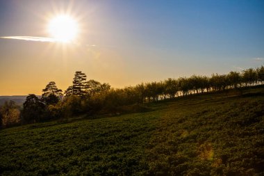 kırsal ülke Romanya alan üzerinde güzel gün batımı