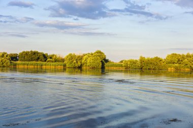 Su ve bitki örtüsü Danube Delta, Romanya ile manzara