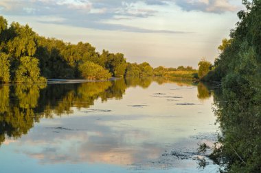Su ve bitki örtüsü Danube Delta, Romanya ile manzara