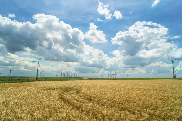 Krajobraz z gospodarstwo rolne i wiatr w Rumunii — Zdjęcie stockowe