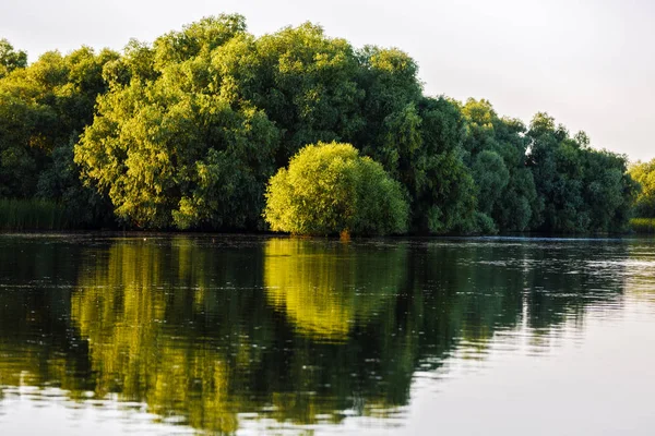 Paisagem com água e vegetação no delta do Danúbio, Roménia — Fotografia de Stock