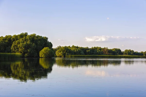 Paisaje con agua y vegetación en el delta del Danubio, Rumania —  Fotos de Stock