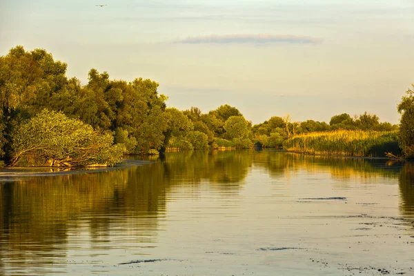 景观用水和植被在多瑙河三角洲，罗马尼亚 — 图库照片