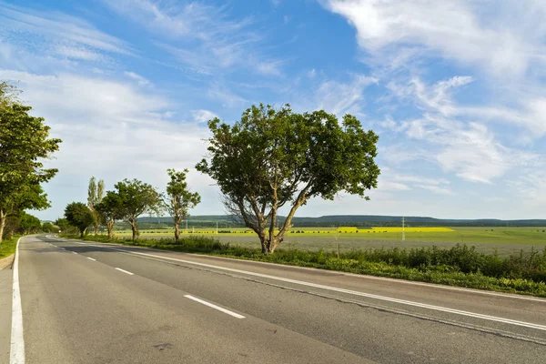 Bela paisagem com uma árvore na beira de uma estrada — Fotografia de Stock