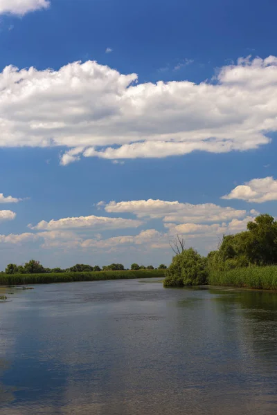 Paisaje con agua y vegetación en el delta del Danubio, Rumania —  Fotos de Stock