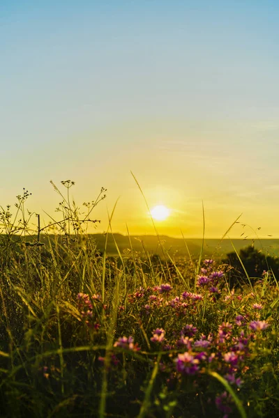 Günbatımı Romanya ülke için bir tepe üzerinde — Stok fotoğraf